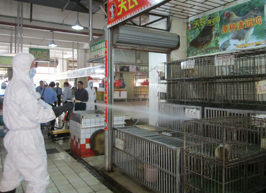嚴把準入關(guān)，未經(jīng)檢疫禽類不得進入市場銷售