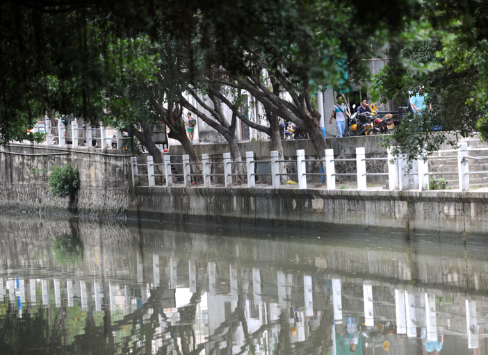 周賢林：重視環(huán)保，讓“順德后花園”更給力