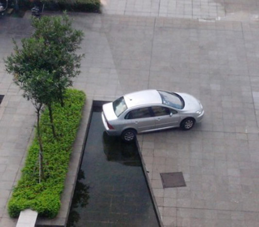 小車違規入廣場，一不小心掉池中