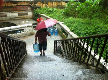 順德走筆：周鑒古井，一方泉水牽四方情