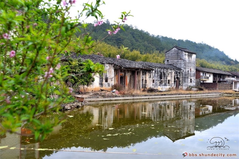 翁源桃花行之三圍屋與田園
