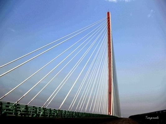 順德美圖：容桂特大橋，串起了順德美景