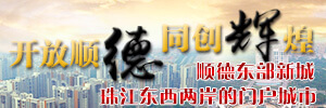 順德東部新城建設要點做？落實再落實！