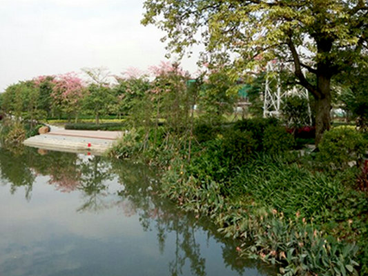 市人大代表看東部，被順峰山公園迷住了