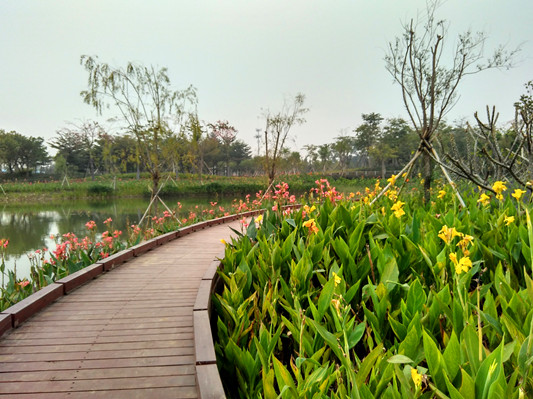 民生實事“期末考”：得閑就來逛逛公園