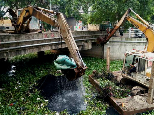 龍江村民笑了：道路靚，河涌水浮蓮沒了