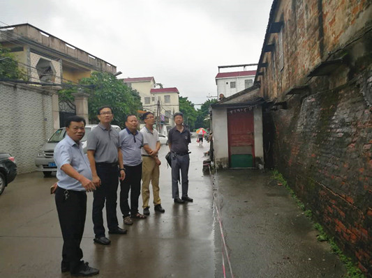 臺風過后，大良檢查暴雨所致的地質災害