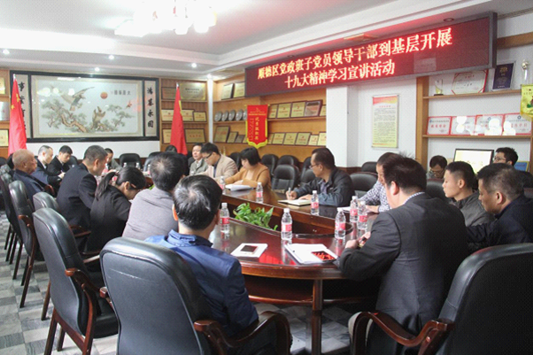 學習十九大報告，推動樂從進入新“時代”