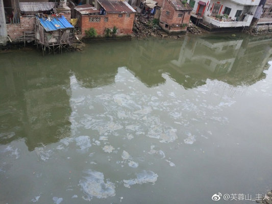 河涌有油污？部門快速清理獲網友點贊
