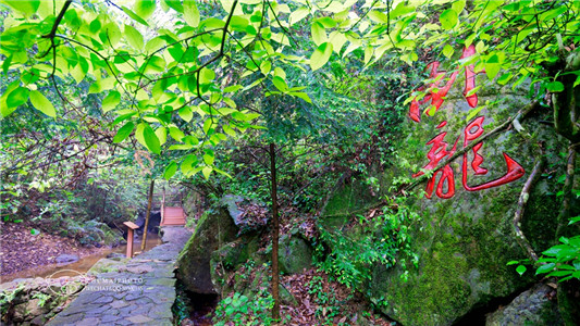 醉美路上，領略花海瀑布美景