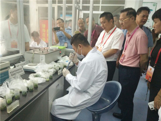 發揮人大代表作用，讓龍江市民吃得放心
