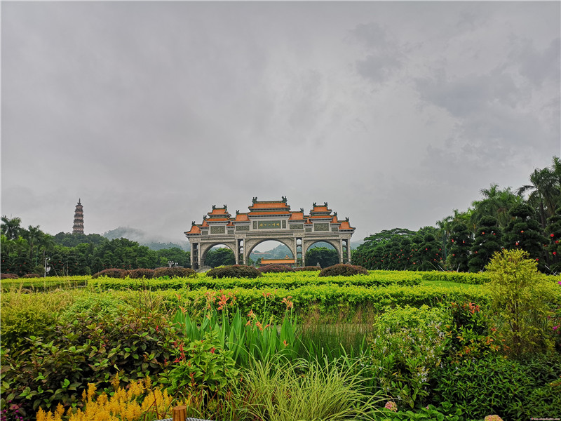 鏡頭下的順峰山公園