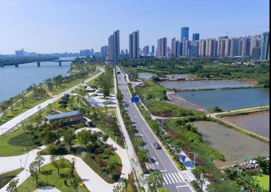 分布均衡！省專家點贊順德園林城市工作