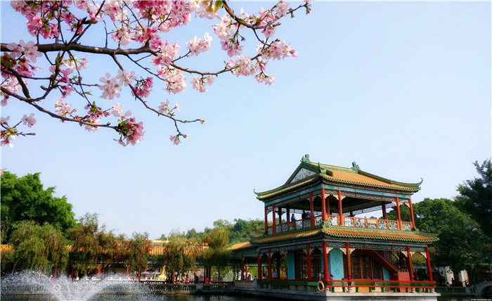 當古建筑遇上櫻花，簡直不要太美！