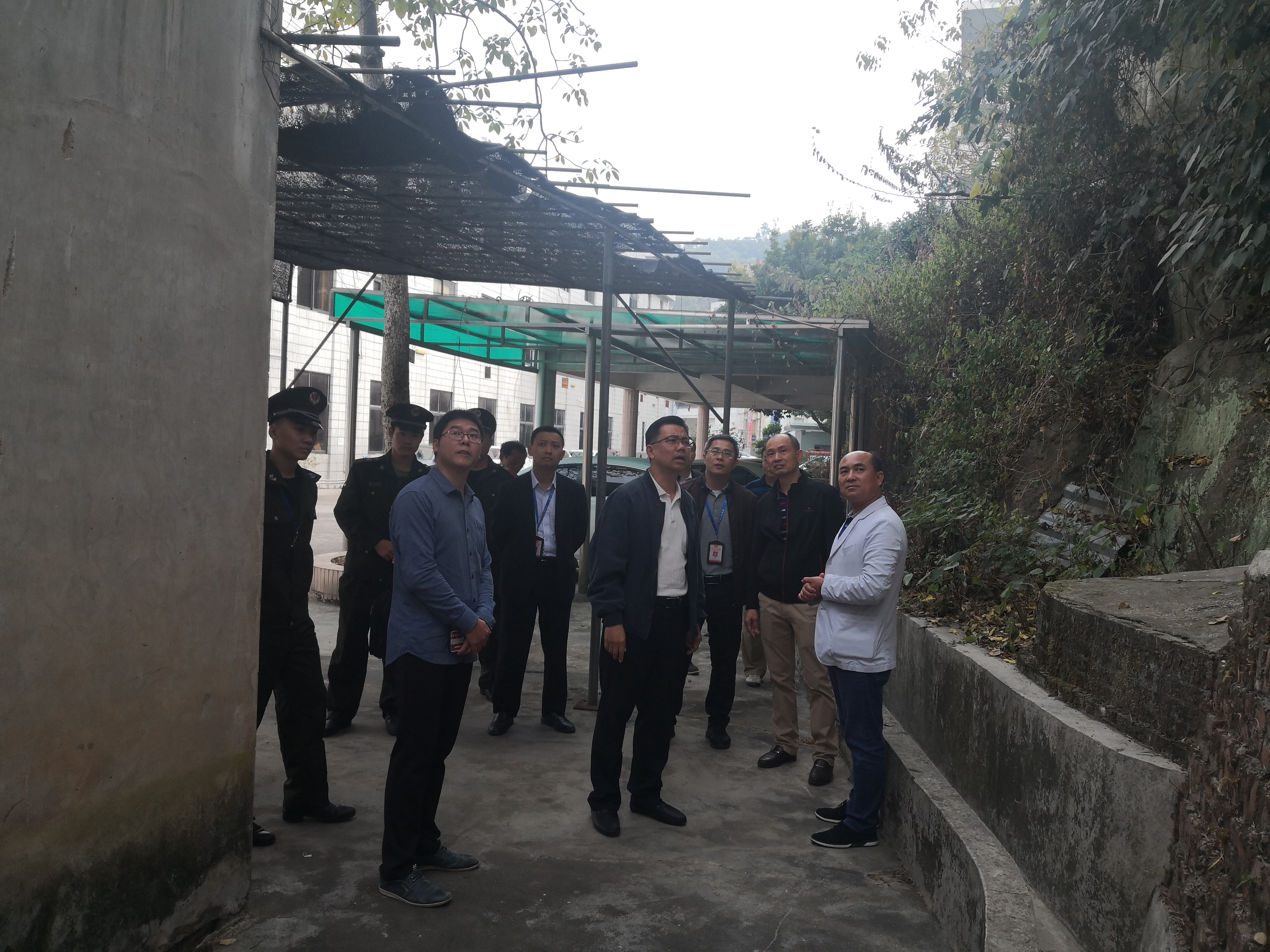 北滘：開展今冬明春森林防火專項檢查