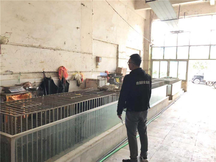 北滘開展活禽經營市場休市監督檢查工作