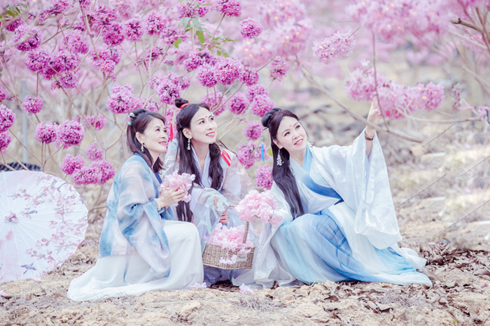 壹周美圖：希望的春天將至，必百花齊放