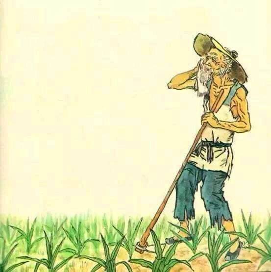其實，我不過是一個種田的老農