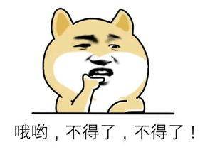 全國罕見的科舉成果，順德怎就這么厲害呢？