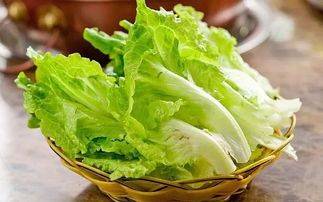 關于生菜你知幾多？順德人簡直把生菜玩出了花……