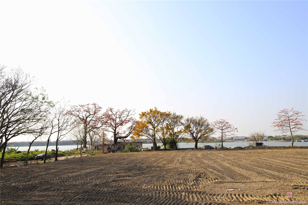 村級工業園變身濱水長廊，倫教又添一美景！
