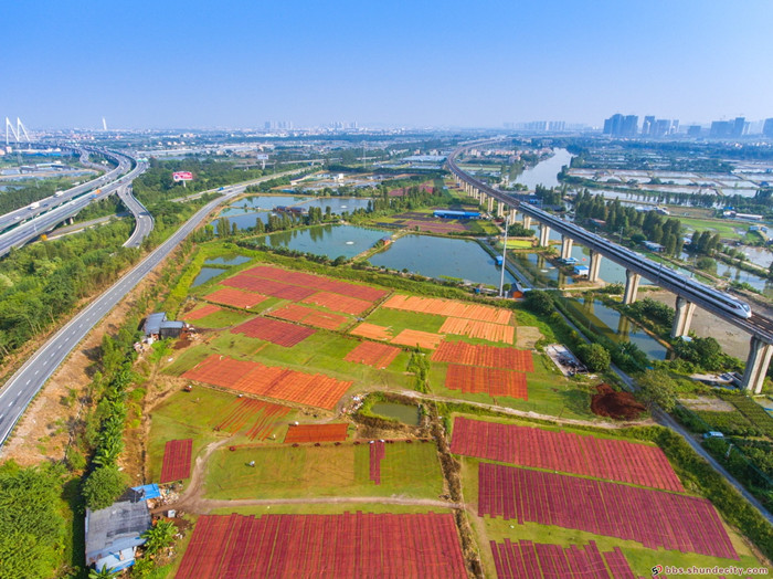 香云紗的五彩大地