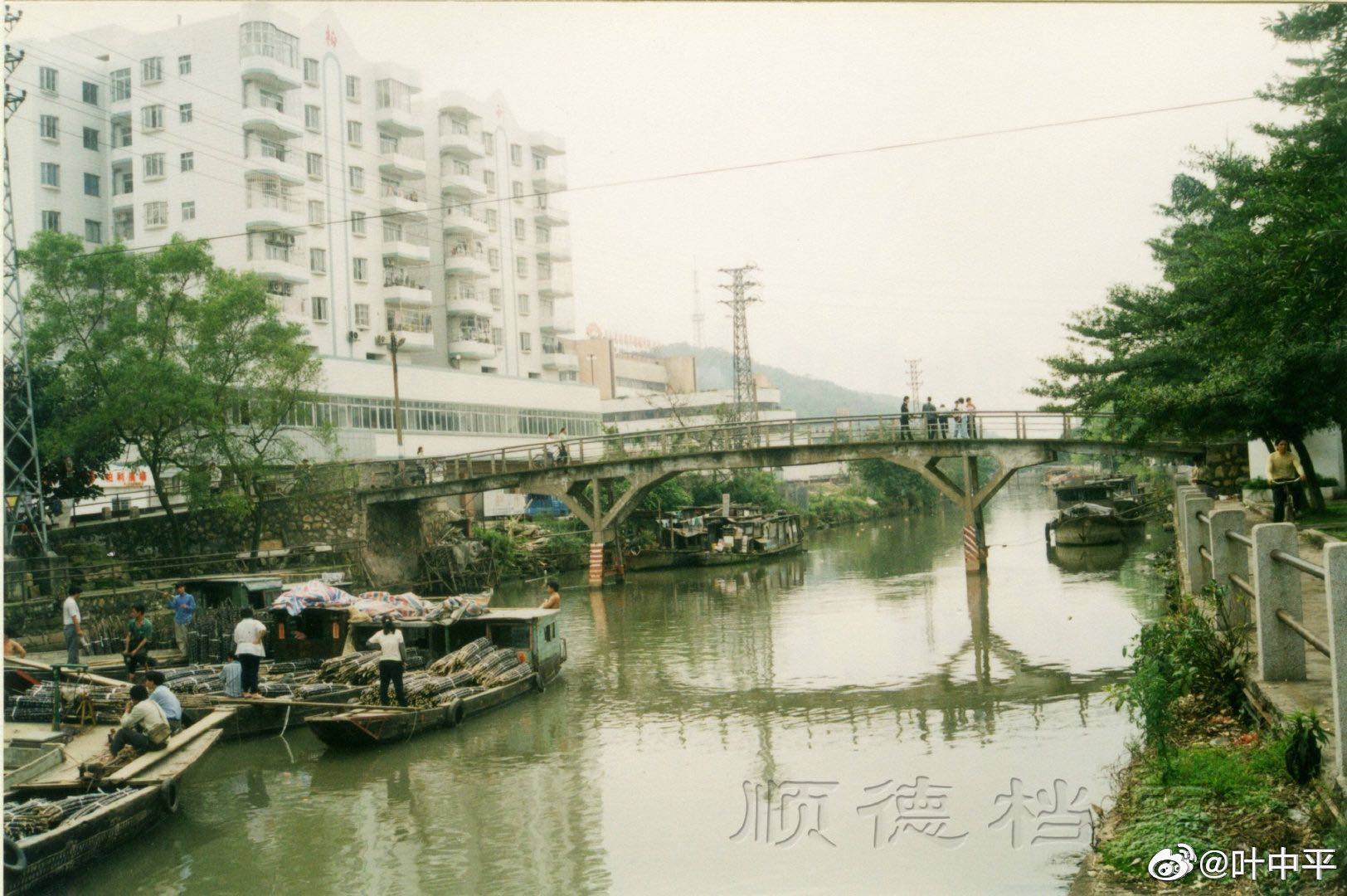 我的順德記憶|大良河旁話古今