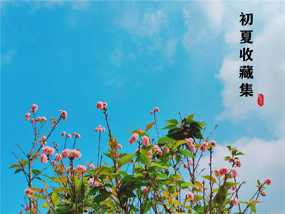 噓，我悄悄收藏了一夏的山水