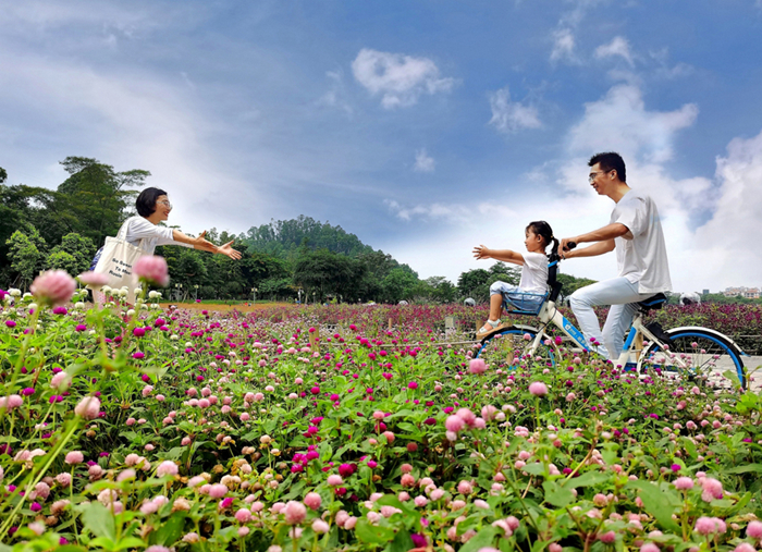 壹周美圖：在愛里擁抱新生活，遇見花開