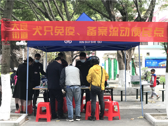 文明養犬宣傳進社區，大良綜合執法辦在行動