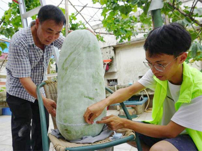 北滘基層治理⑤|打造一村一品，讓村民口袋、腦袋都富起來了