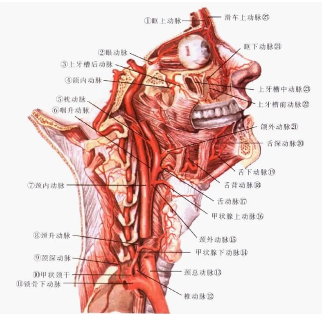 精準(zhǔn)治療頸椎骨折！龍江醫(yī)院3D打印技術(shù)，牛！