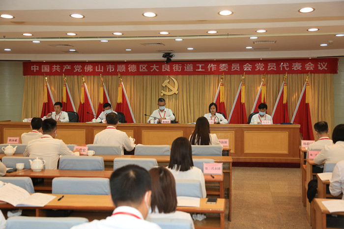 大良：區第十四次黨代會41名黨代表選舉產生