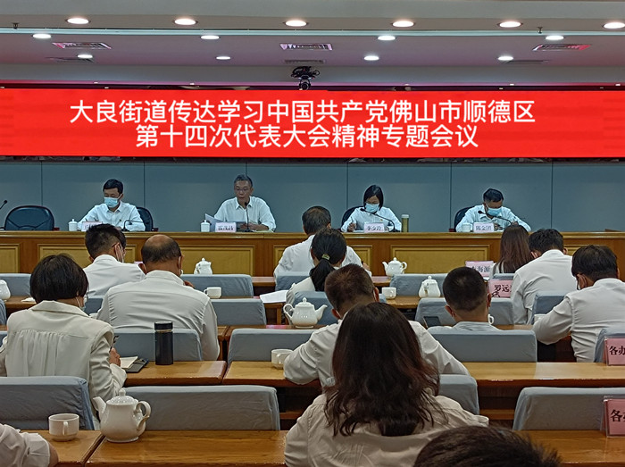 大良：學習貫徹區黨代會精神，吹響新發展號角