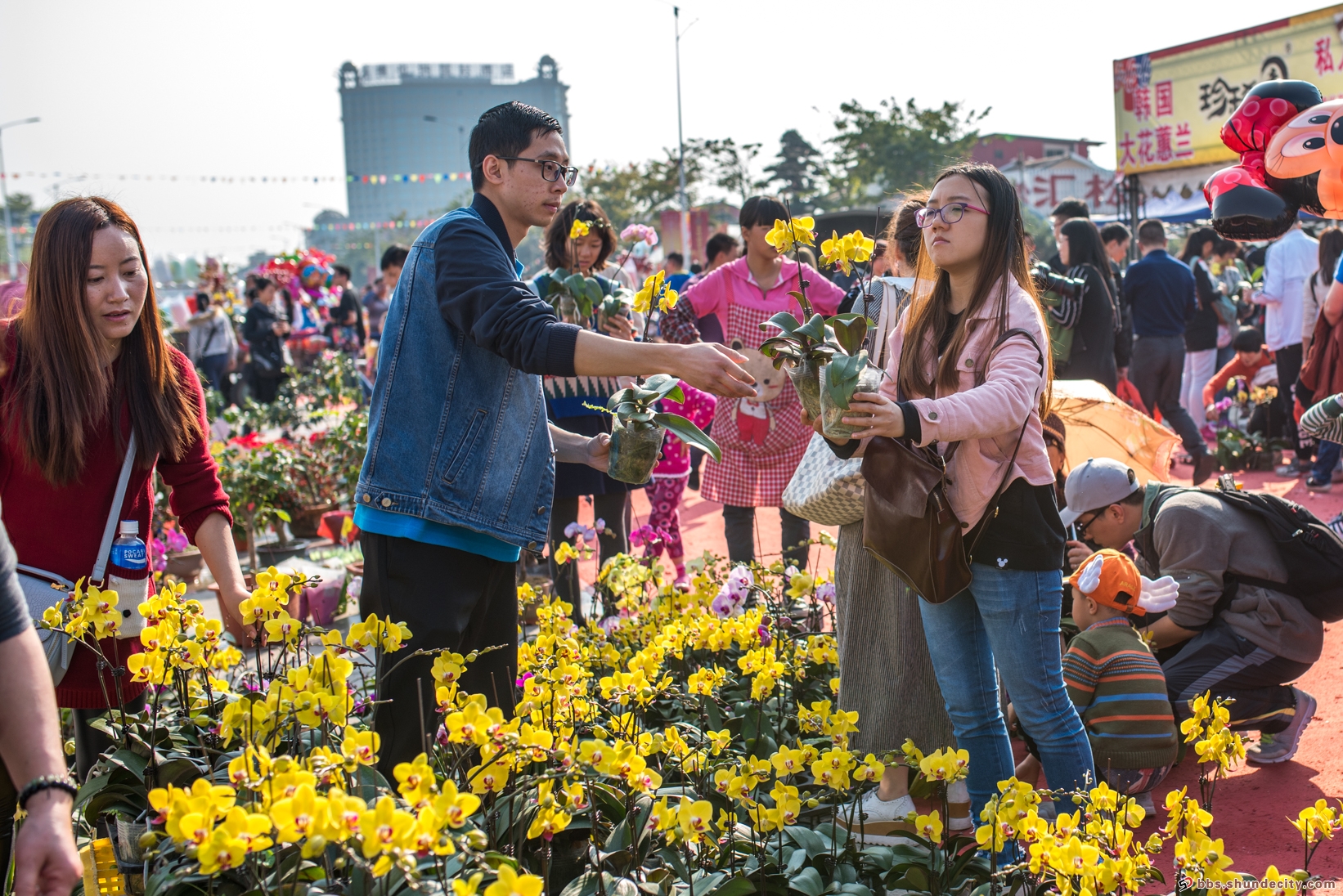 陳村花農｜從普通花農到一代花王，他奮斗了一輩子