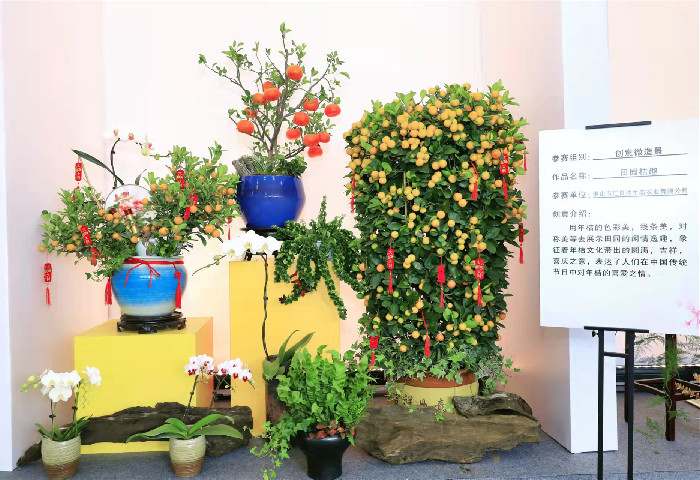 show出才藝，擦亮順德“國家地理標志產品”品牌