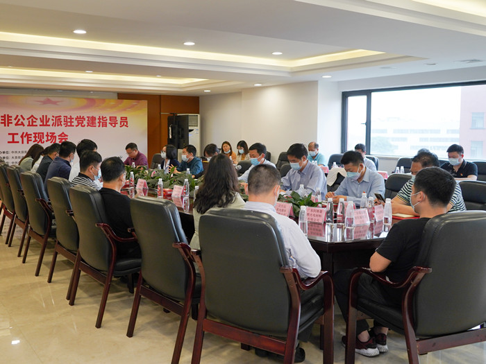 鳳城黨旗紅：大良112名指導員助力非公企業強黨建