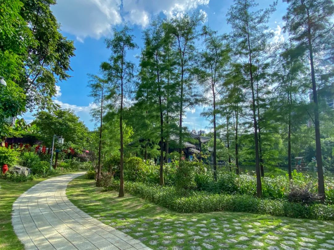 夏日的和園美得一塌糊涂！快將美好的夏天擁入懷~