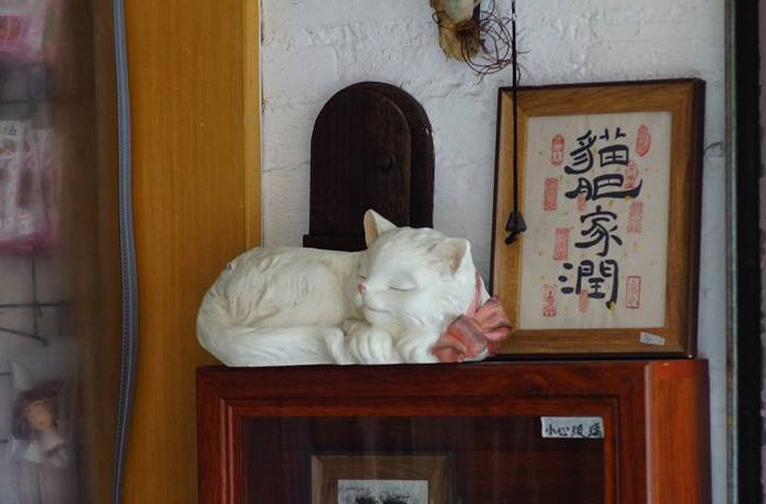藏在金榜老街巷子里的小店，文藝別致，還可“擼”貓