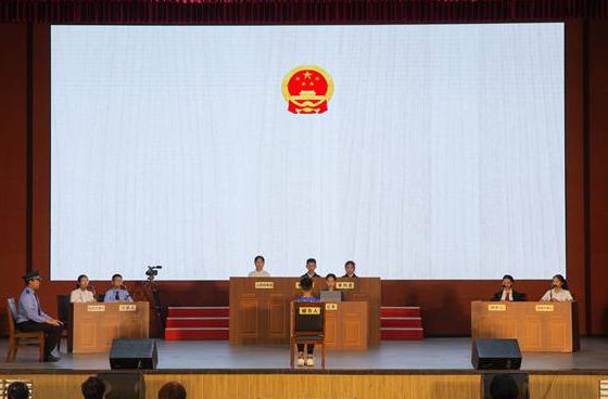 大良：合力創新，深化庭所共建機制