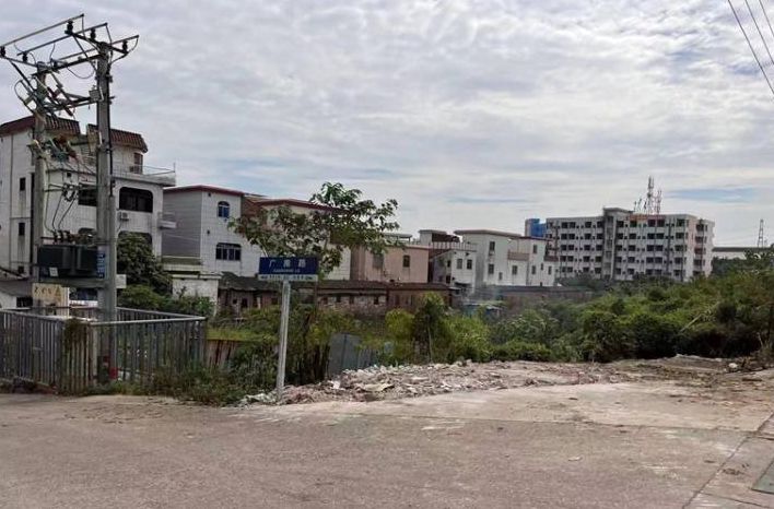 還岸于民！容桂積極推進清岸行動