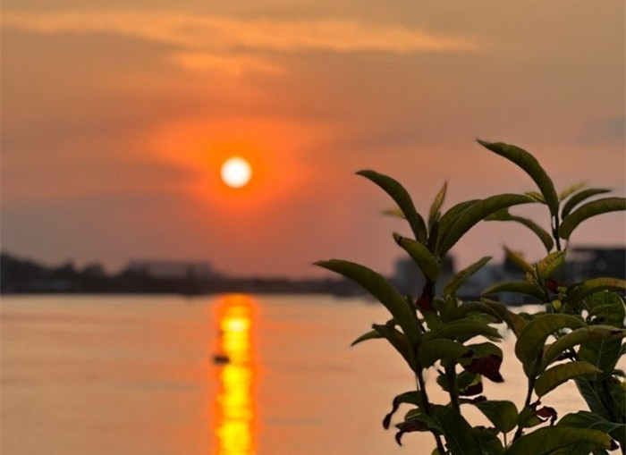 驚艷！在容桂岸邊與夕陽來一場“雙向奔赴”
