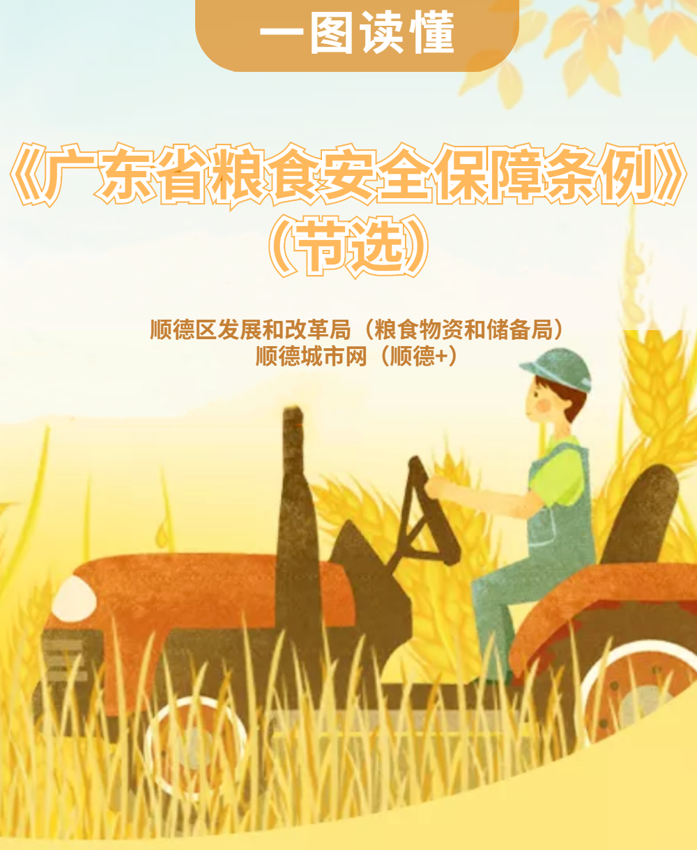 《廣東省糧食安全保障條例》為糧食安全安裝上法律防火墻