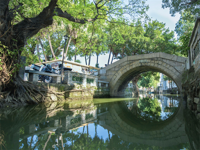 壹周美圖：冬日水鄉，魅力無限