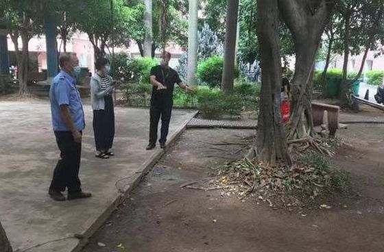 為民解難題！容桂這個老舊小區有戶外自行車充電樁了