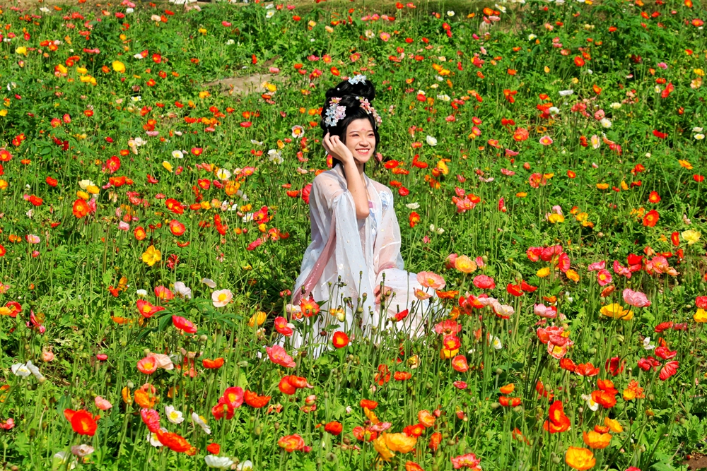 對面的女孩看過來，北滘這片花海超出片！