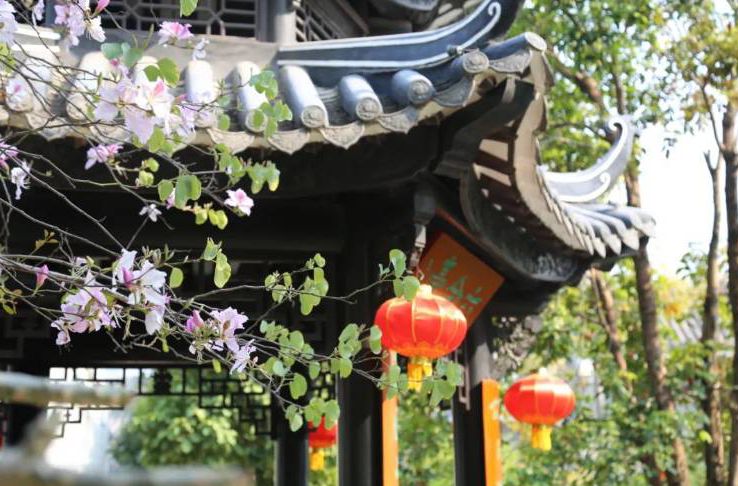趁著春光，來和園追尋早春的腳步~