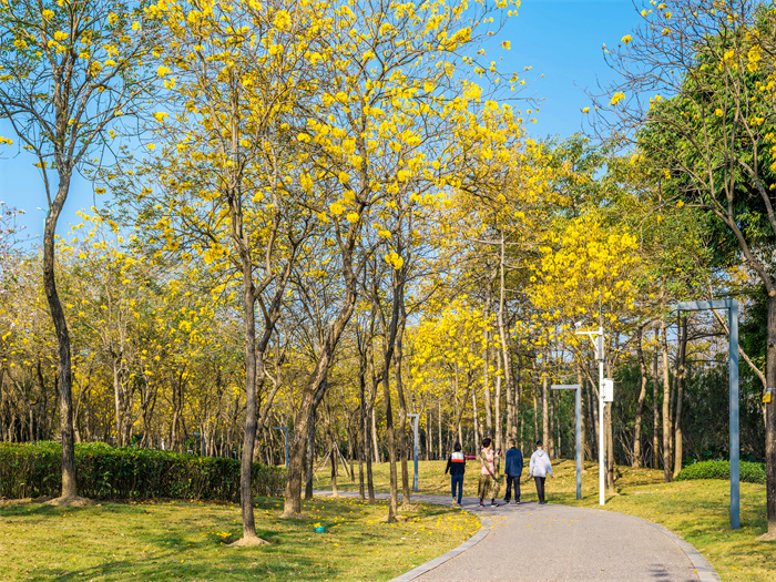 壹周美圖：踏春賞花，其樂融融