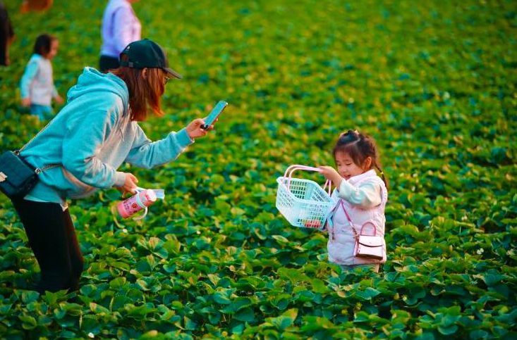 親子樂(lè)翻天！容桂五一遛娃最新去處get起來(lái)~