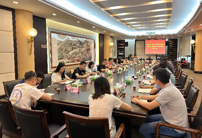 均安：在基層治理一線綻放青春激情